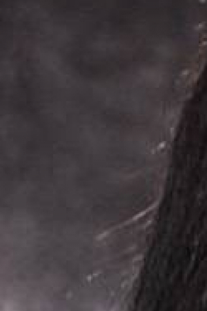 Xena